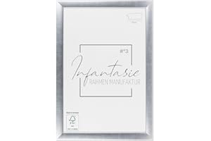 Infantasie 'N°3' Bilderrahmen 18x25 handgefertigt nach Maß | Silber | MDF-Holz Design Collage Holzbilderrahmen inkl. Acrylglas und Metall Aufhänger (Querformat & Hochformat)