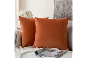 MIULEE 2 Piezas Terciopelo Funda de Cojine Funda de Almohada del Sofá Throw Cojín Decoración Almohada Caso de la Cubierta Decorativo Almohadas para Sala de Estar 50x 50cm,20 x 20 Pulgadas Naranja