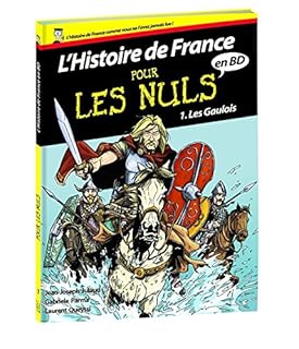 jaquette livre Histoire de France en BD Pour les Nuls - Tome 1 : Les Gaulois (01)