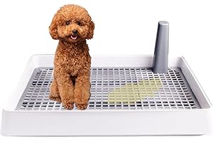 WEITING Lettiera per cani indoor | Vassoio, toilette per allenamento in rete, vasino per cuccioli e cani di piccola taglia, funziona con la maggior parte dei pad di allenamento