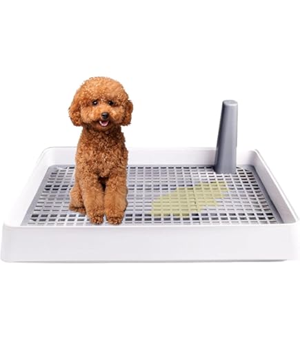 Vasino Per Cani Da Interno - Con Griglia, Antiscivolo, Design A Muro, Colore Rosa - Foto 5