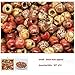 Dreadz Small Wooden Barrel Beads Ethnic Multi Mix - 5mm Hole - x 6 Bead Pack