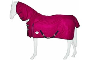 Horse Master Combo Turnout Rug - ‎200g Mediumweight Breathable Waterproof Sheet - 600 Denier Horse Blanket with Full Neck Protection (6'0", Rasberry)