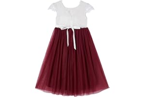 Beganly Girls' Holiday Dresses, Lace V-Back Dress, Sleeveless, Fluffy Tulle Princess Party Dress, Flower Girl Dresses