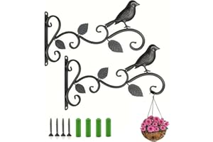 ESFORZARSE 2 Pezzi Staffa per Piante Sospese con Gancio A Parete, Ganci da Parete per Pianta Staffe a Muro da Giardino in Ferro Battuto per Uccelli Appendiabiti Gancio Giardino Esterno con Viti Balcone Lanterna