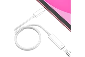 ACANDYA Cable de Carga iPencil, para iPad 10ª generación para Apple Pencil de 1ª generación, Adaptador USB C a para Lightning Admite Carga con lápiz y emparejamiento Bluetooth, Adaptador para Apple Pencil