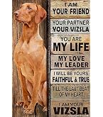 Schiefertafel Mit Hunde-Motiv „Hier Wache Ich – VIZSLA“ – Türschild Für Garten, Terrasse Oder Haustür, Ca. 22x16 Cm