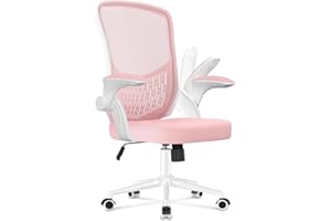 naspaluro Ergonomic Office Chair, Desk Chair with 90° Folding Armrests, Unique Lumbar Support, Breathable Mesh Padding for Home Office, Study, Pink