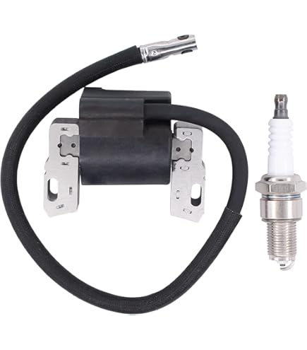 Zündspule Mit Zündkerze - Ersatzteil Für Motoren 799582 798534 593872