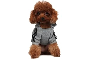 PenghaiYunfei Felpa con Cappuccio per Cani alla Moda Abbigliamento per Cani Felpa in Cotone Streetwear Vestito alla Moda per Cani Gatti Cucciolo Piccolo Medio Grande (Grigio, XL)
