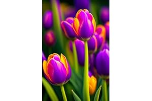 PJFNHD Tulip Bulbs for Planting Now UK Strong Plants That Grow Well Mix Golden Jade Carving Feels Perfect UK Now Simple Planting Perennial