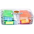 TULMAN Polypropylen 100 Pcs Multicolor Id Name Keyrings & Keychains Key Tags With Label- 19X13X5 Cm