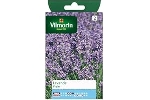 Vilmorin - Sachet graines Lavandre vraie
