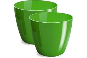 PECZEKO Macetas Brillantes Macetas Decorativas Hierbas Macetas Redondas de plástico duraderas y Ligeras para salón, Comedor, Cocina, terraza, balcón Juego de 2 Piezas (Verde, diámetro 12 cm)