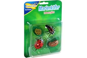 HCM Kinzel Insect Lore 48143 Coccinelle en Plastique Multicolore Taille M