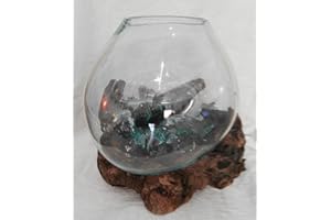 EXOTICA-IMPORT Vase en Verre soufllé sur Racine de Bois, Hauteur Variable, modèle Unique (Hauteur Environ 12cm). Choix sur Photos ENVOYEES Suite A Votre Commande avec Les Dimensions. Vendeur Francais.