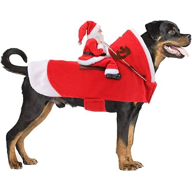 Haustier-Kostüm Mit Fliege & Krawatte – Verstellbar Für Kleine Hunde & Katzen, 4-teiliges Set, Schwarz/rot + Brille