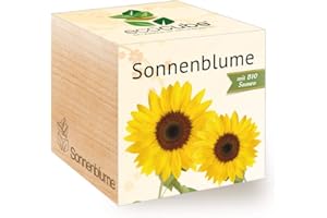 Feel Green Ecocube - Flor de Sol ecológica, Certificado ecológico, Idea de Regalo sostenible (100% Eco Friendly), Cultivar tu Abuelo/Cultivo de Plantas, Fabricado en Austria