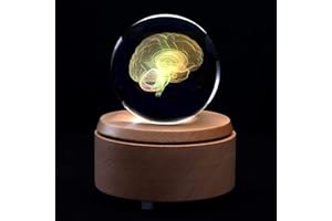 UIGJIOG Kristallglaskugel 3D Menschliches Gehirn Anatomisches Modell Briefbeschwerer Laser Geätzt Mit Bunten LED-Basis Wissenschaftsgeschenk