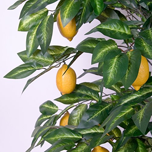 Zitronenbaum, Echtholzstamm, Kunstpflanze, Kunstbaum – 184 cm - 3
