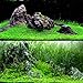 Produktbild SSXY Wasser Grassamen, Wasserpflanze Samen Aquarium Wasser Grassamen Teppich Pflanzen Samen für Aquarium (1000 Stücke) - Kurze Wasser Gras