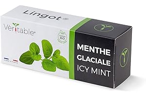 Lingot® Menthe Glaciale Bio - Compatible Potager d'Intérieur Véritable® et Exky® - Recharge prête à l'emploi - Substrat avec Graines Intégrées…
