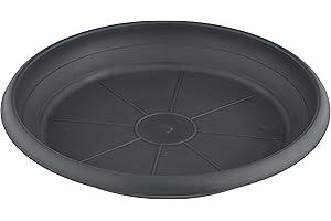 Scheurich Soucoupe en Plastique, Gris métallisé, 20 cm de diamètre, 2,7 cm de Hauteur