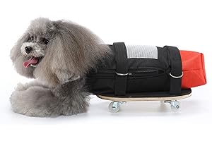 ASHATA Fauteuil Roulant pour Chien Chat pour Pattes Arrières, Scooter de Marche pour Animaux de Compagnie avec Roues Silencieuses, Scooter D'assistance pour Chien Chat handicapé, Protège la Poitrine et les