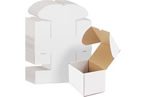 EYMPEU 20 Stück 22,9 x 15,3 x 7,7cm Weiße Versandkarton, Kartons für kleine Gegenstände, Spielzeug, Schreibwaren und Weihnachtspäckchen