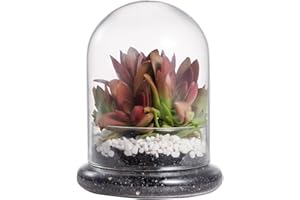 NCYP Vitrina Pequeña Decorativa Redonda de Cristal Transparente para Terrario, 12x12x16 cm, Cúpula de Cristal con Base y Orificio de Ventilación para Almacenar Suculentas en Miniatura (Sin Plantas)