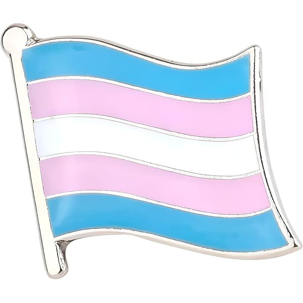Transgender-Trans Pride LGBT LGBTQ vlag metalen pin badge broche, 20mm Wide 10mm High, Aluminium