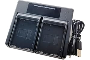 EMOVERY Dual USB Akku Ladegerät für Panasonic VW-VBT190 VW-VBT380 VW-VBY100E VW-VBK180 VW-VBK360 VW-BC10E HC-V520 HC-V550 HC-V720