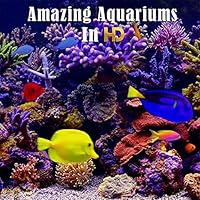 Amazing Aquariums In HD
