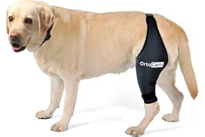 Ortocanis - Kniebandage für Hunde mit Kreuzbandverletzungen, Patellaluxation oder Arthrose, Größe XXL, rechtes Bein