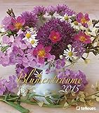Blumenträume 2015 by