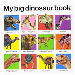 My Big Dinosaur Book (My Big Board Books)
