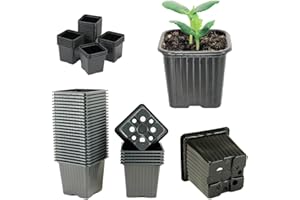 HYDROPLANETE Godets pour Semis – 3 Tailles Disponibles 7x7 8x8 9x9cm – Made in France – Lots de 24, 50, 100 ou 1000 unités - Pots Plastique Réutilisable pour semis et Jeunes Plantes.