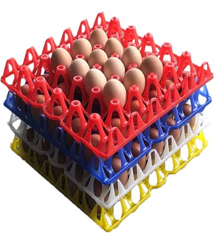 Boites à oeufs en carton pour 6 oeufs (24 pièces) | Swiss Pet Supplies