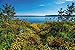 Produktbild Artland Wandbild auf Alu-Verbundplatte Marc Alexander Kunze Sommer Traum Überlingen am Bodensee Landschaften Gewässer See Fotografie Bunt C8BK