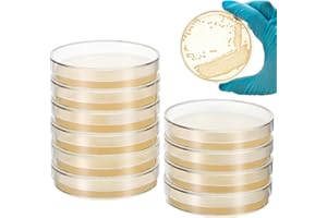 MUCKLILY Agarplatten Mit Agar 10 Stück Petrischalen Nähragarplatten Für Naturwissenschaftliche Schulprojekte