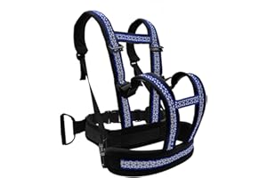 PW TOOLS Child Safety Harness,Child Motorcycle Safety Harness,Kinder-Sicherheitsgurt, Kinder-Motorrad-Sicherheitsgurt, verstellbare, atmungsaktive Schultergurte, Anti-Müdigkeits-Anti-Drop-Kinder-Motorrad-Siche