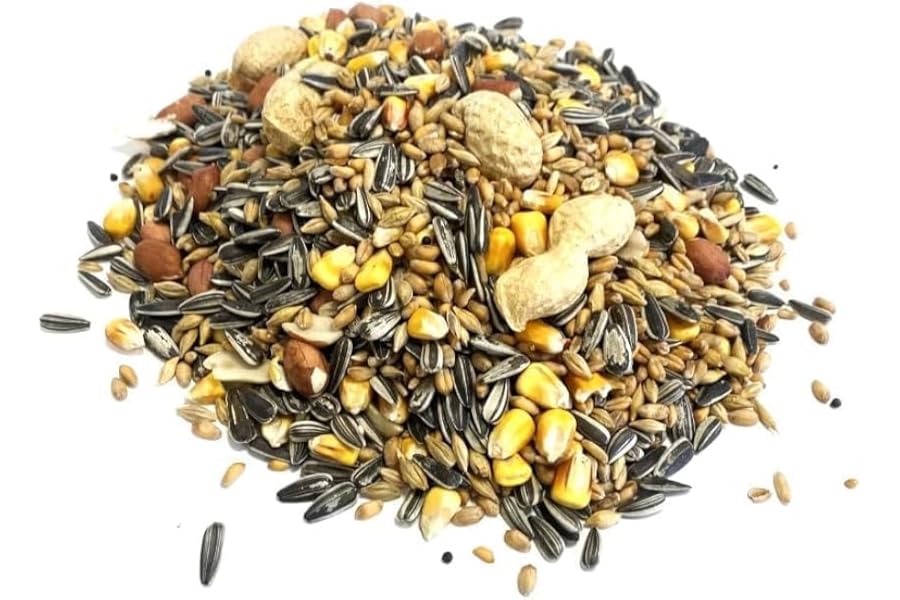 3 Litre Refill Bag Squirrel Mixture Premium Wild Life Food Garden Seed Feed (Weight 1.8kg/approx. 3L) 3LW