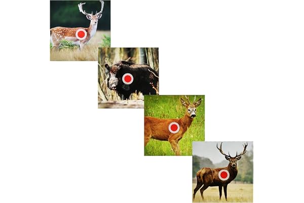 Atflbox 100 pièces 14x14 Airsoft cibles avec Motif Animal Carabine à air comprimé Pistolet Airsoft Cible de tir pour piège à balles Armes CO2 BB et Pistolet à Plomb cibles Papier