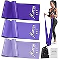 Resistance Bands, Exercise Bands, Physical Therapy Bands for Strength Training, Yoga, Pilates, Stretching, Stretch Elastic Band with Different Strengths, Workout Bands for Home Gym