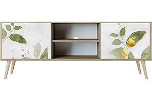 HEALANCY BIOMEDICAL HEALANCY Mobile TV Mobile Porta Televisore a 2 ante Tavolo da Soggiorno TV Soggiorno Armadio Moderno per TV Porta TV con mobili contenitori Mensola TV Design moderno