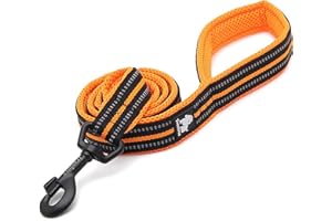 TRUELOVE TRUE LOVE Dog Leash TLL2111 Puppy Walking Lead Leash,Pet Chain Rope,Handle Traction Rope,Padded Reflective Night Safe Leading Length 200cm Now Available (L, Orange)