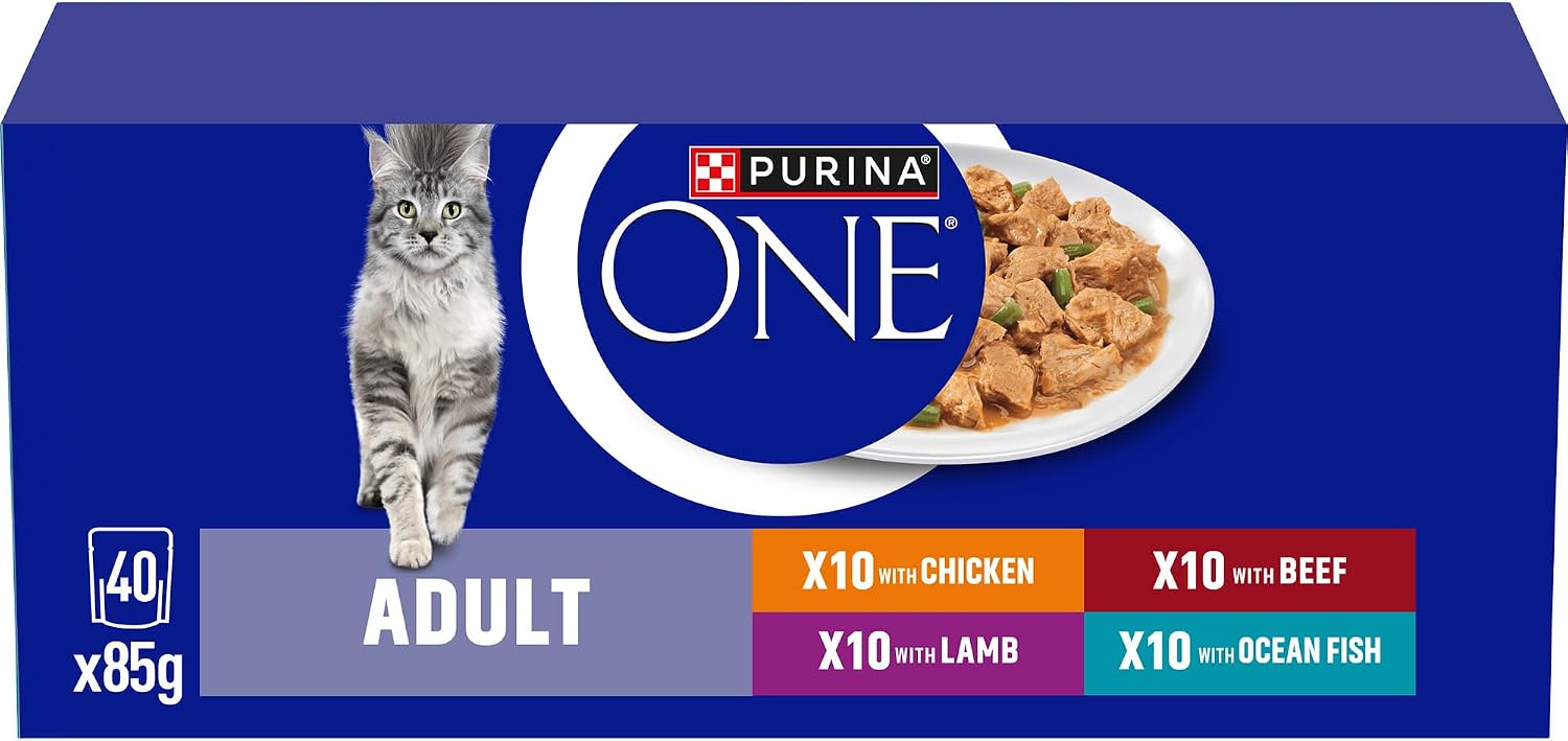 PURINA ONE Mini Fillets Mixed Selection in Gravy Adult Wet Cat Food 40x85g