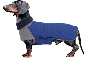 GEYECETE płaszcz jamnik, ciepły, wodoodporny, wiatroszczelny, miniaturowa kurtka jamnik-niebieski-M