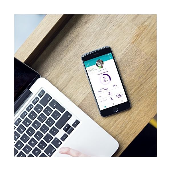 SureFlap Microchip Pet Door Connect without Hub App Controlled, White