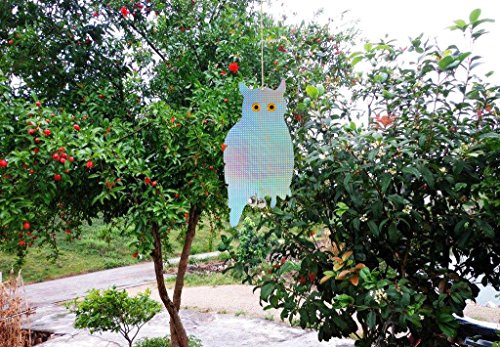 Neibo Vogelscheuche, Vogelschreck, Doppelseitig reflektierendes Vogelabwehr-Eule zur Abwehr von Vögeln, Rehen und anderen lästigen Tieren (2Stück) - 5